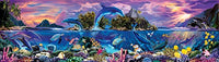 Marine Panorama Poster Print by Robin Koni