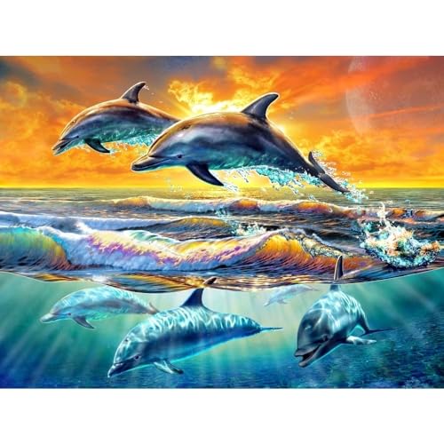 Dolphins at Dawn Poster Print by Adrian Chesterman showcasing vibrant ocean scene.