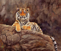 Siberian Tiger on Rock Poster Print by David Stribbling, wildlife art.