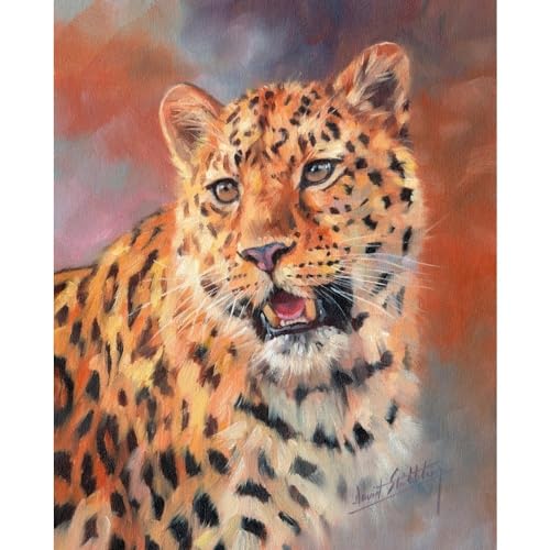 Leopard Roaring Poster Print by David Stribbling featuring a majestic leopard.