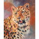Leopard Roaring Poster Print by David Stribbling featuring a majestic leopard.