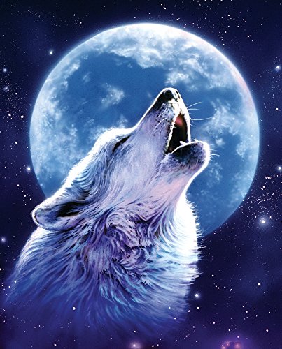 Call of The Wild Variant 1 Poster Print by Robin Koni, 12 x 6