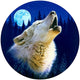 Howling Wolf Poster Print by Robin Koni featuring a majestic wolf howling.