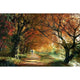 Forever Autumn Poster Print by Dominic Davidson with vibrant fall colors.
