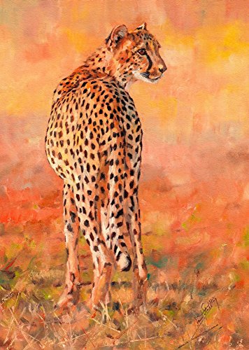 Cheetah Alone Poster Print by David Stribbling showcasing a cheetah in vibrant colors.