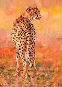 Cheetah Alone Poster Print by David Stribbling showcasing a cheetah in vibrant colors.