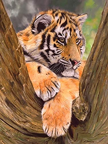 Tiger Resting on Tree Poster Print by David Stribbling