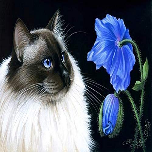 Blue Poppy Poster Print by Irina Garmaschova-Cawton, vibrant floral artwork.