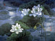 Moon Light Blue Poster Print by Ailian Price - serene blue tones