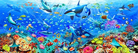 Underwater Panorama Poster Print by Adrian Chesterman showcasing vibrant marine life.