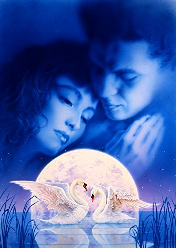 Moonlight Swans Poster Print by Robin Koni, serene artwork featuring swans on a moonlit lake.