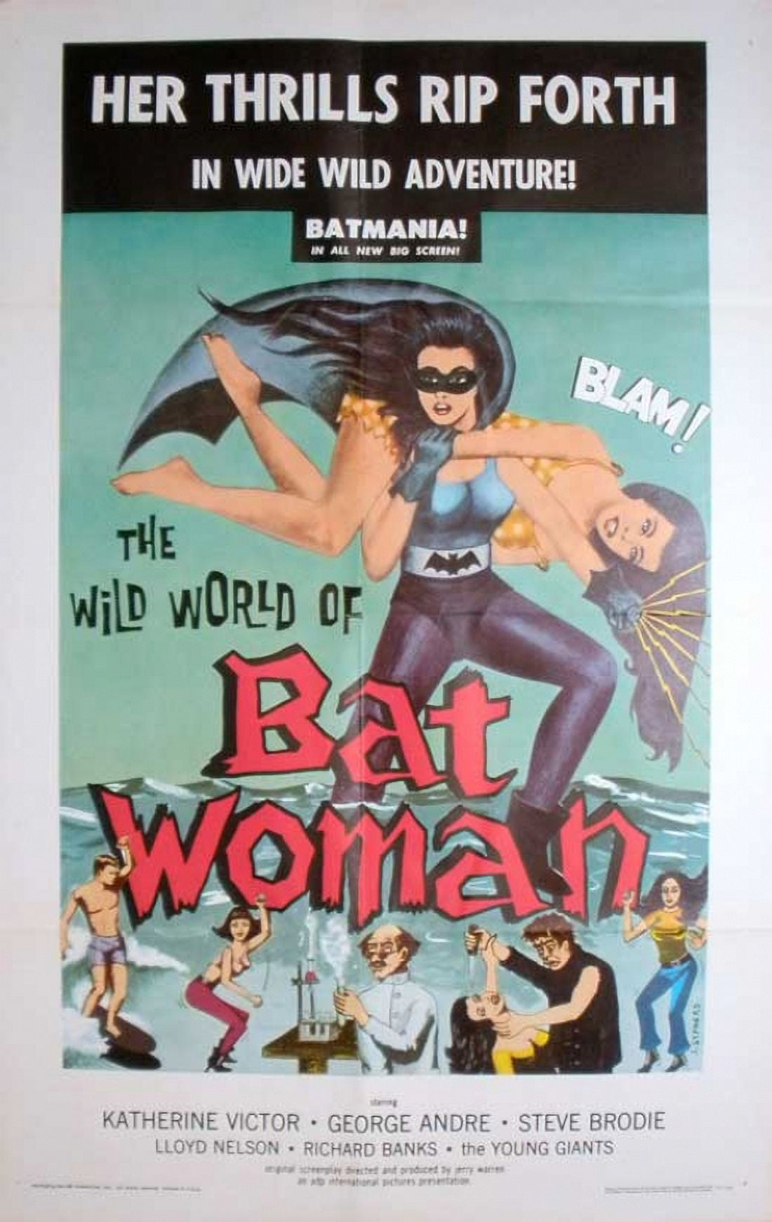 The Wild World of Batwoman Movie Poster - 11x17 size