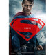 Batman vs. Superman Dawn of Justice Movie Poster - 11x17
