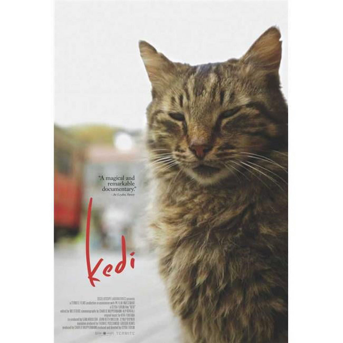 Kedi movie poster featuring enchanting street cats of Istanbul in 27x40 size.