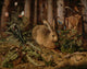 A Hare In The Forest poster print featuring a serene hare in a natural setting.