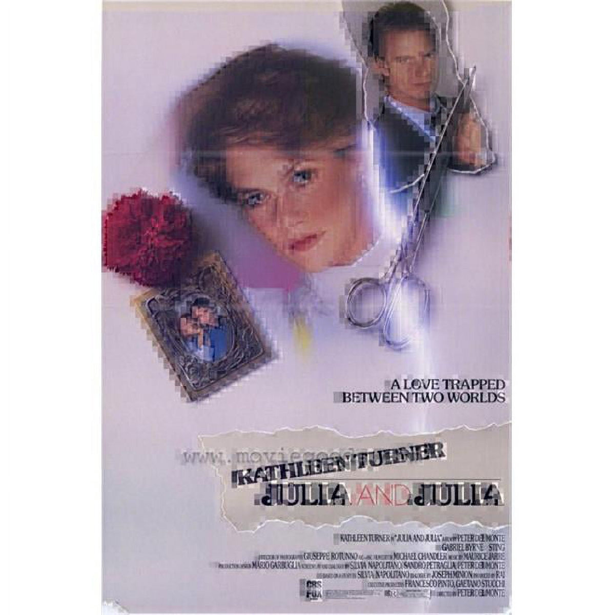 Julia and Julia Movie Poster Print in vibrant colors - 27x40