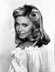 Portrait of Olivia Newton-John photo print in multiple sizes.