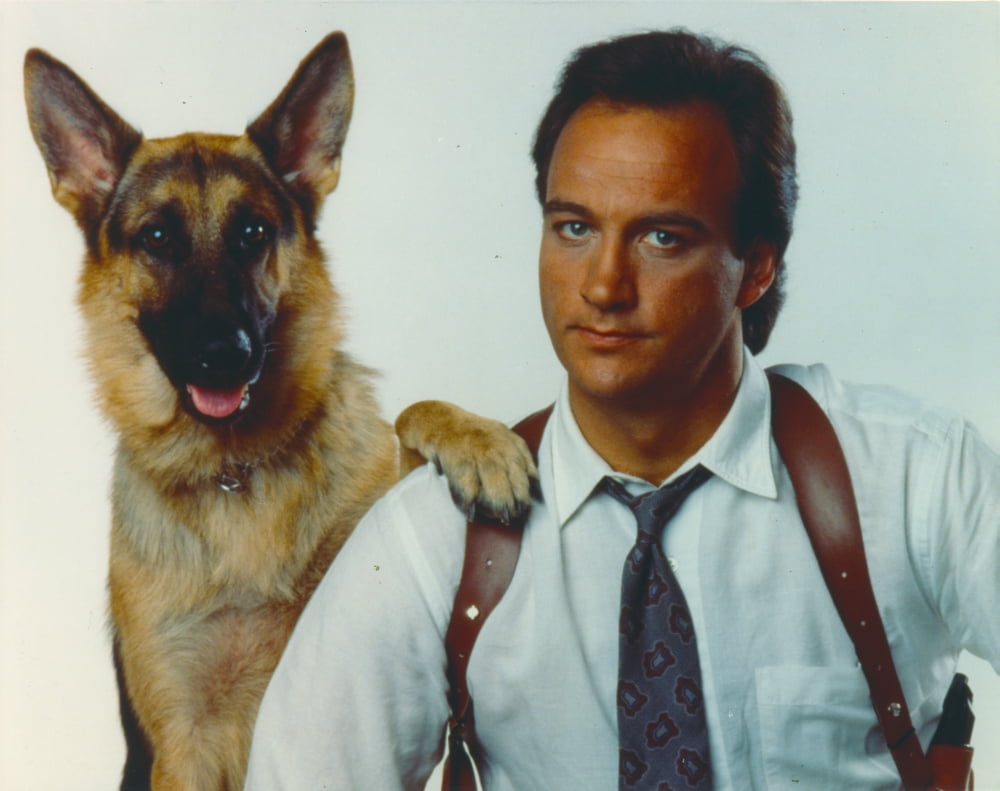 Jim Belushi posed portrait with dog photo print