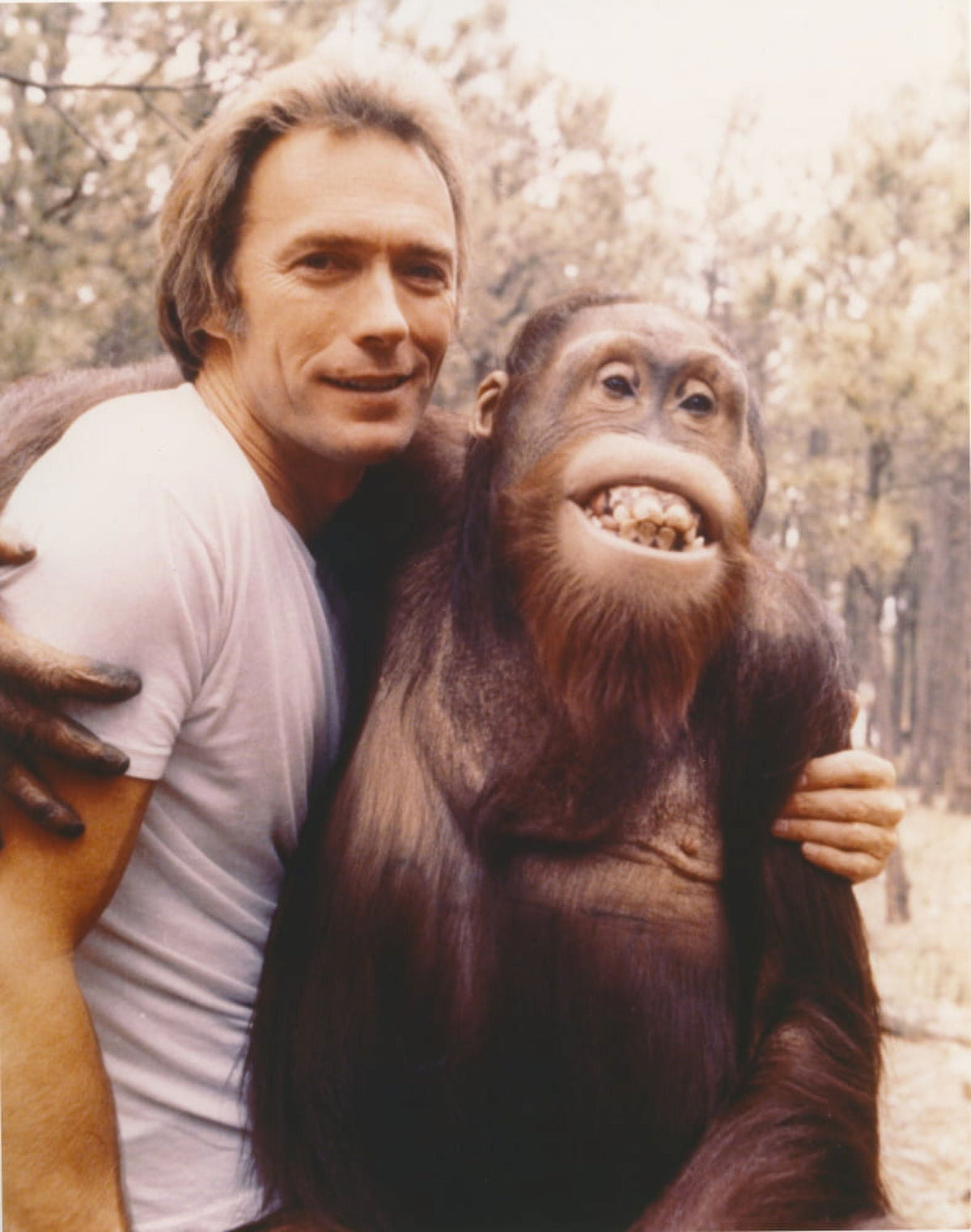 Clint Eastwood photo print featuring a monkey, available in multiple sizes.