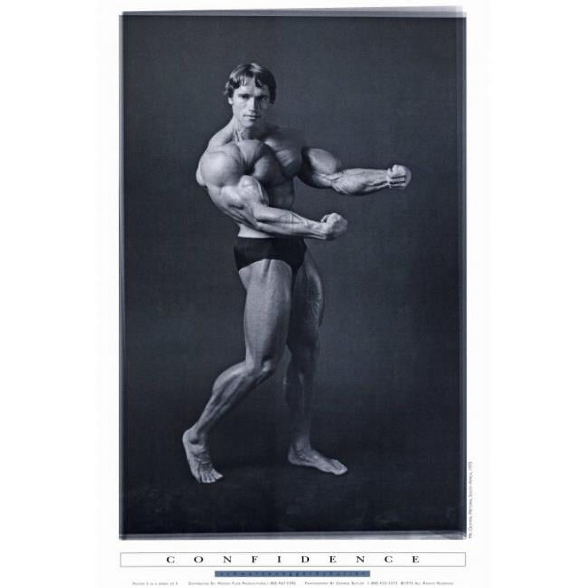 Arnold Schwarzenegger action movie poster print 27x40