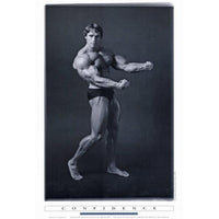 Arnold Schwarzenegger action movie poster print 27x40