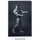 Arnold Schwarzenegger action movie poster print 27x40