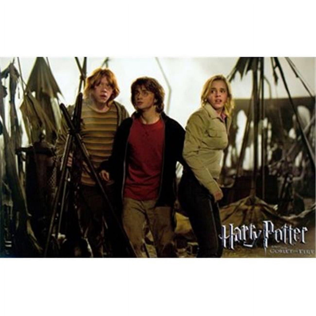 Harry Potter and the Goblet of Fire movie poster 17x11 print.