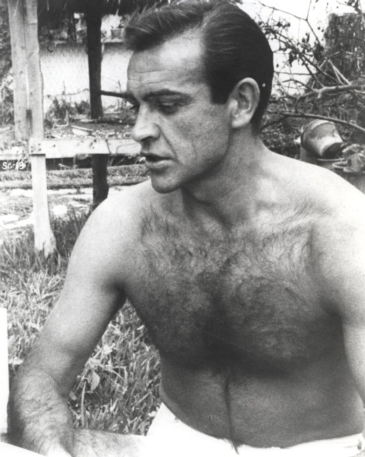 Sean Connery shirtless photo print, iconic film star