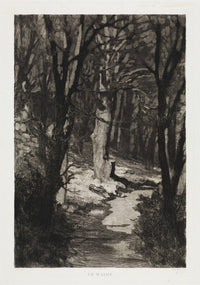 Im Walde (Dramen Opus IX Blatt 6) Poster Print by Max Klinger, 1883, available in various sizes