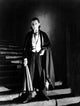 Dracula themed photo print showcasing classic horror art.
