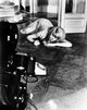 Repulsion Movie Photo Print showcasing iconic imagery.