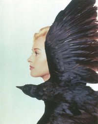 Art print of Tippi Hedren in side view with a crow, perfect for home decor.