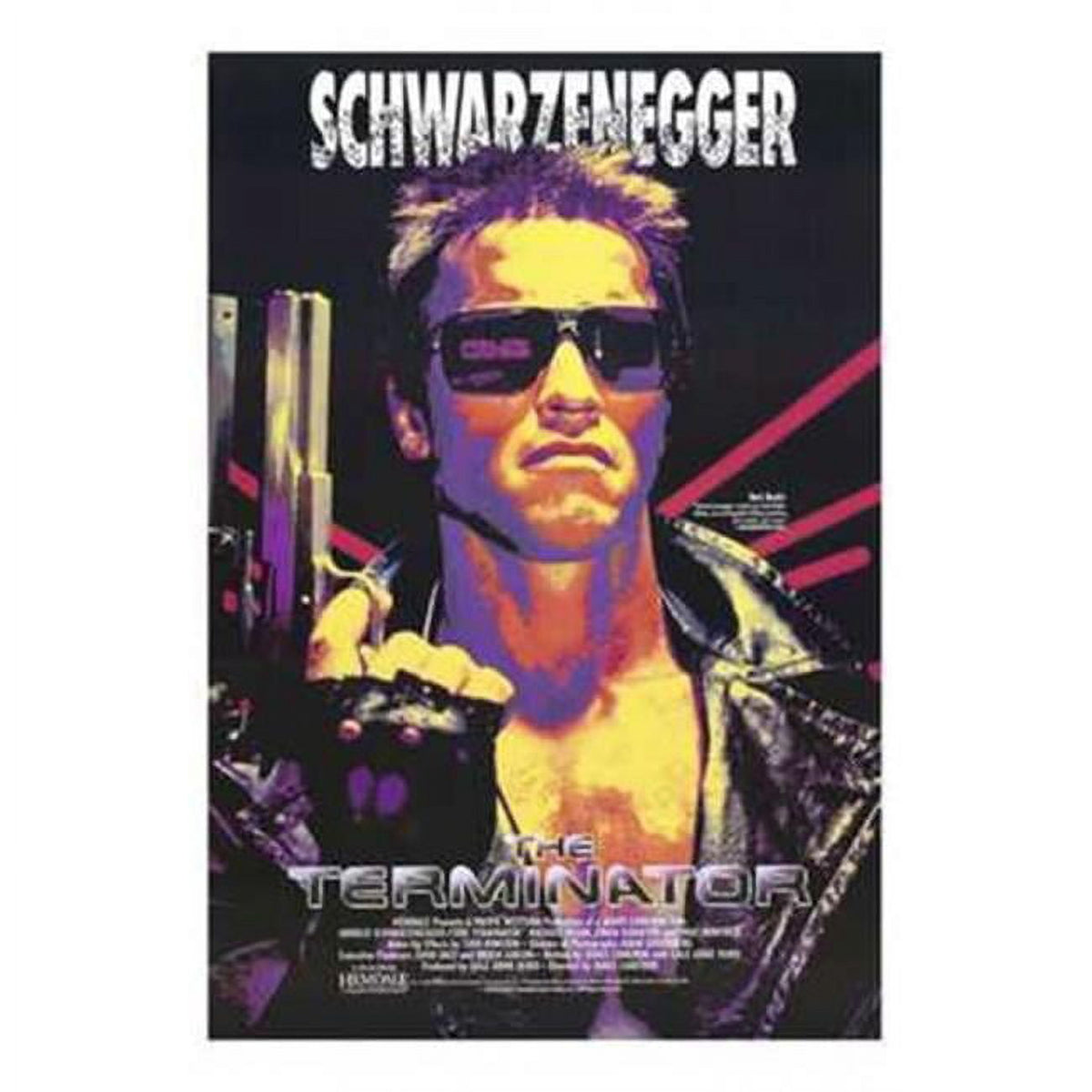 The Terminator Style D Movie Poster 11x17