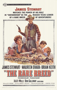 The Rare Breed Movie Poster 11x17 print showcasing cinematic imagery.