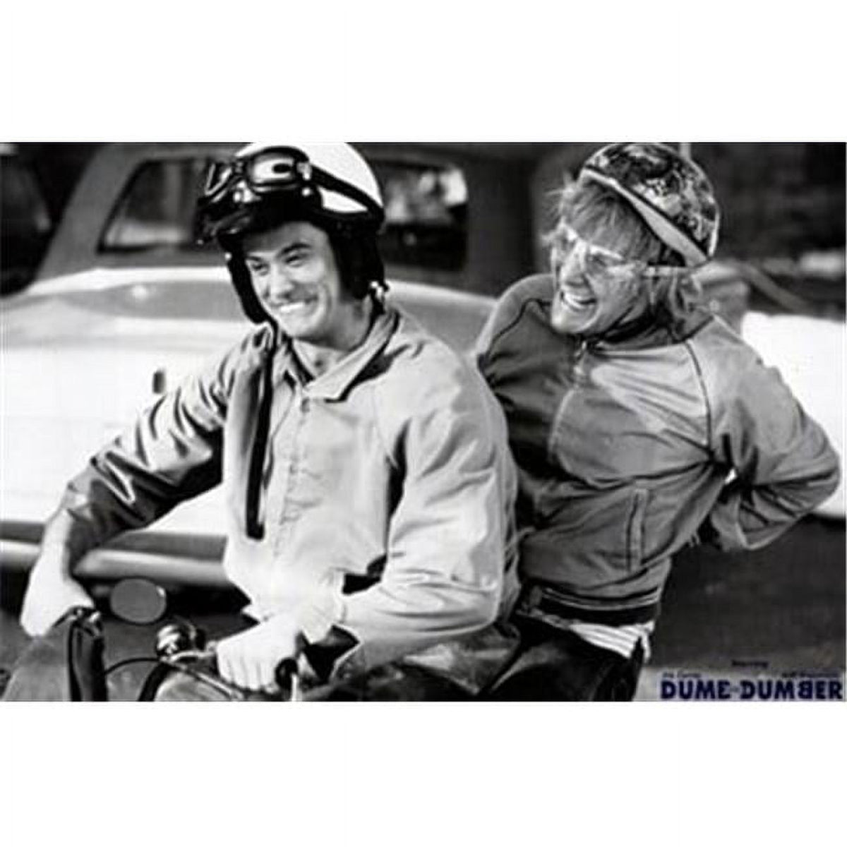 Dumb and Dumber Movie Poster featuring Jim Carrey and Jeff Daniels.