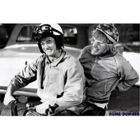 Dumb and Dumber Movie Poster featuring Jim Carrey and Jeff Daniels.
