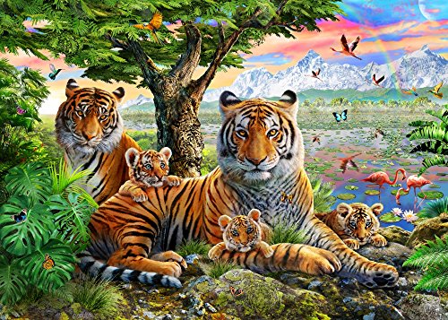 Hidden Tigers Buffalo Poster Print by Adrian Chesterman