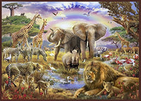 Rainbow Waterhole Poster Print by Jan Patrick showcasing vibrant colors.