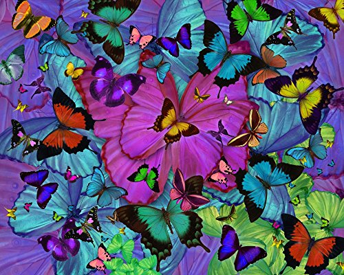 Butterfly Explosion Radial Pink Poster Print by Alixandra Mullins featuring vibrant pink butterflies in a radial design.