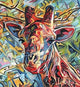 Giraffe Of Many Colours Poster Print by David Stribbling