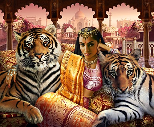 Indian Princess Poster Print by Andrew Farley showcasing Native American beauty.