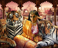 Indian Princess Poster Print by Andrew Farley showcasing Native American beauty.