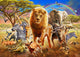 African Stampede Poster Print by Adrian Chesterman showcasing wildlife in motion.