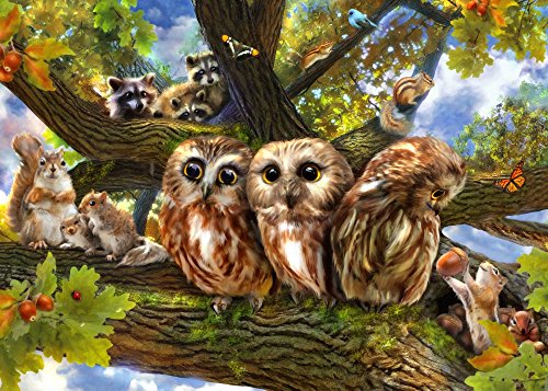 Out on a Limb Poster Print by Aimee Stewart