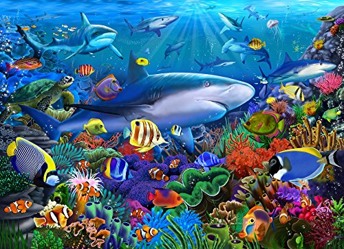 Shark Reef Poster Print by Gerald Newton showcasing vibrant marine life.