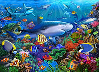 Shark Reef Poster Print by Gerald Newton showcasing vibrant marine life.