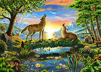 Wolf Harmony Poster Print by Adrian Chesterman showcasing wolves in nature.