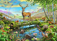 Wildlife Splendor Jumbo Poster Print by Adrian Chesterman, vibrant animal artwork.