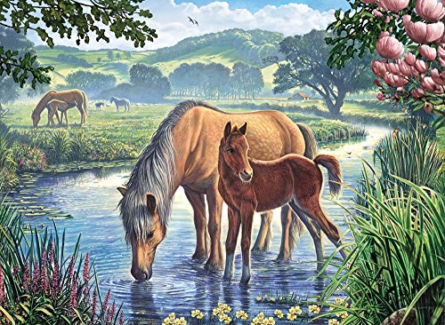New Forest Ponies Poster Print by Steve Crisp, showcasing wild ponies in scenic landscape