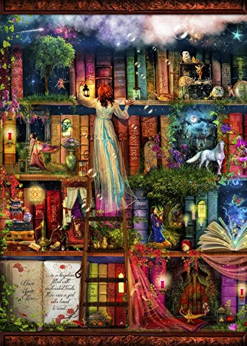 Treasure Hunt Book Shelf Poster Print by Aimee Stewart, featuring a whimsical bookshelf design.